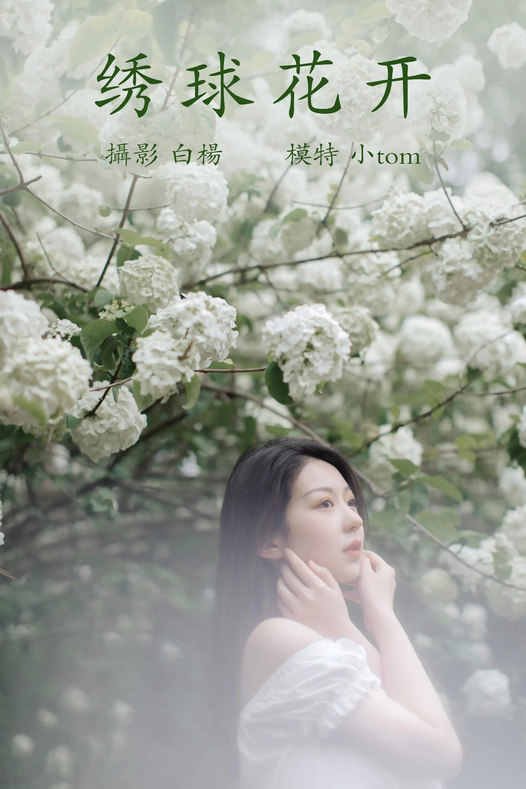 [YITUYU艺图语]2021.12.31 绣球花开 小tom [22P]插图1